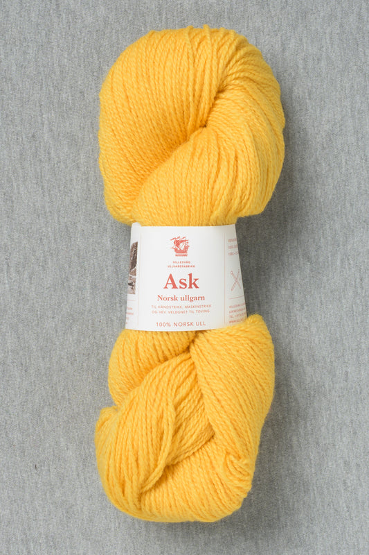 Hillesvåg Ask 6118 Yellow (Bag of 10)