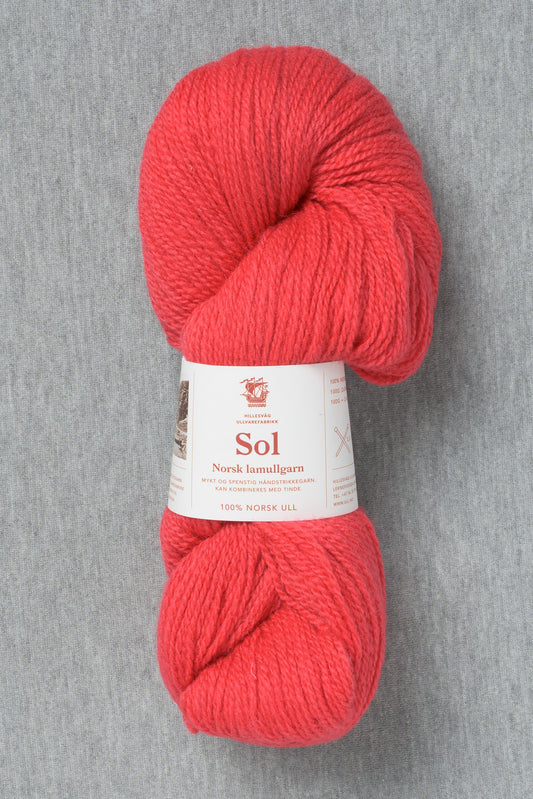 Hillesvåg Sol 427 Coral (Bag of 10)