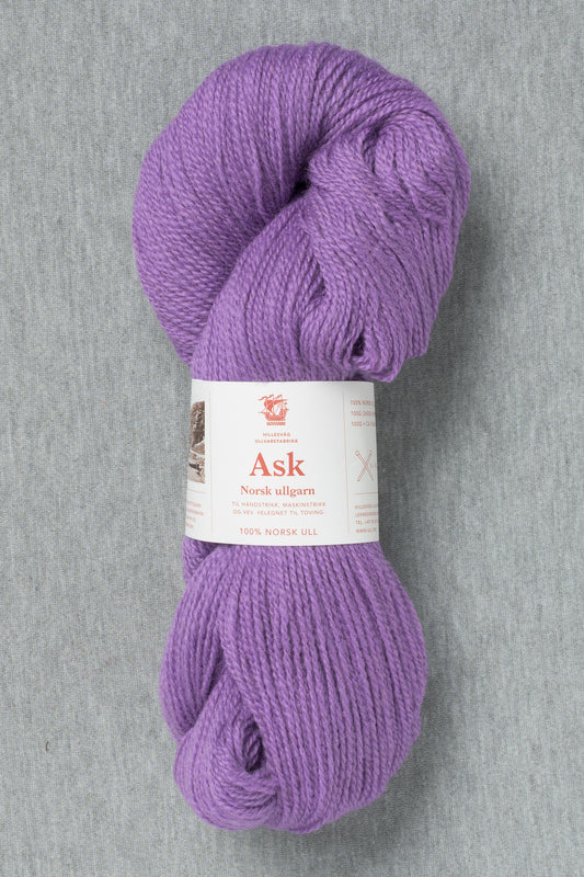 Hillesvåg Ask 6077 Purple (Bag of 10)