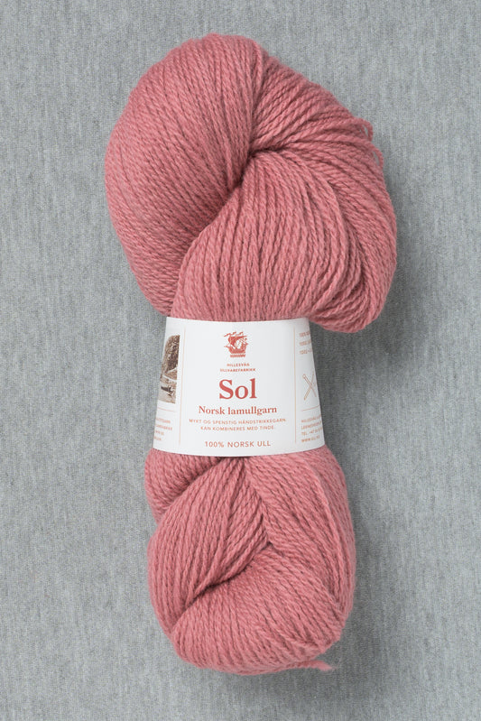Hillesvåg Sol 407 Old Rose (Bag of 10)
