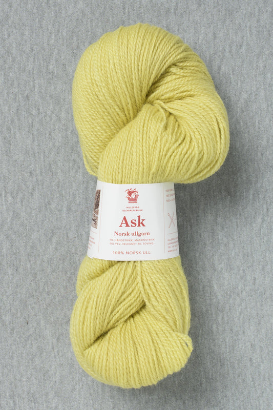 Hillesvåg Ask 6120 Light Lime (Bag of 10)