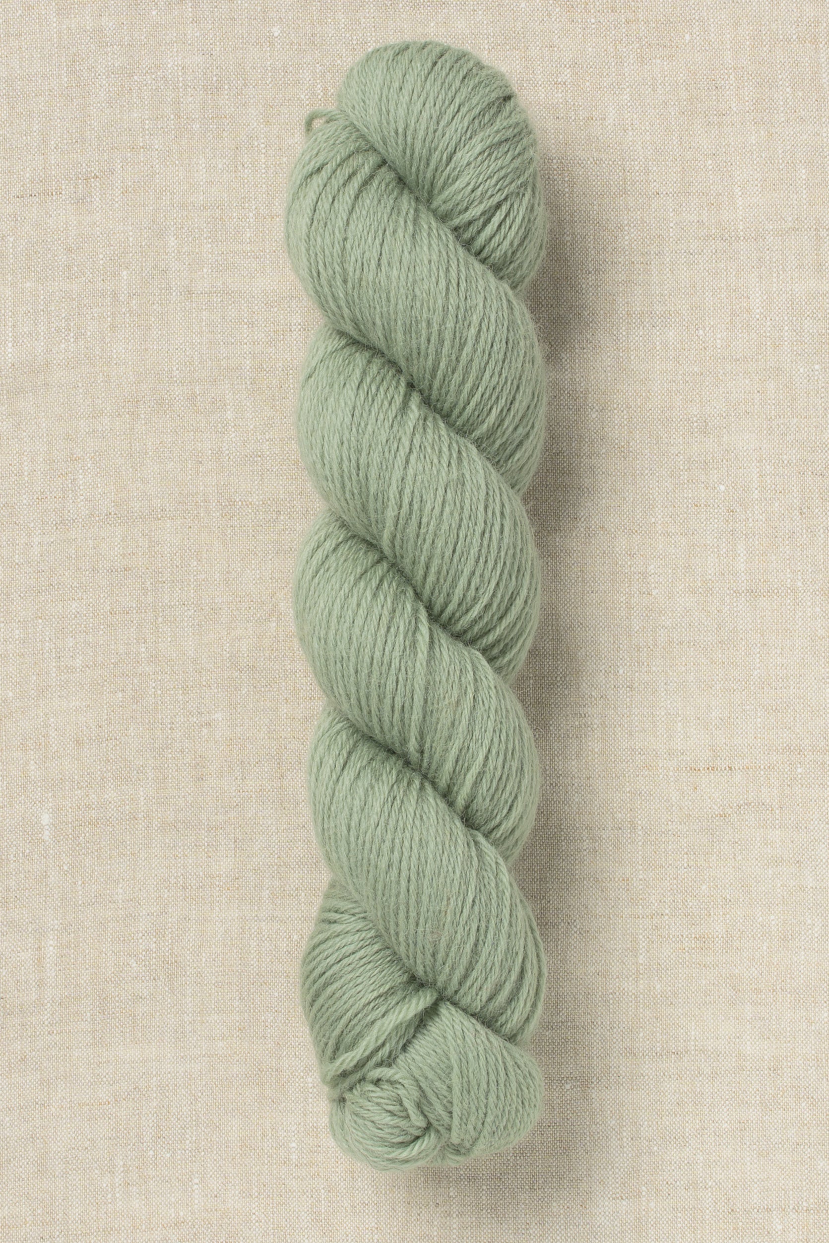 Bramble & Fleece Wooltrace DK 302 Celadine (Bag of 10)