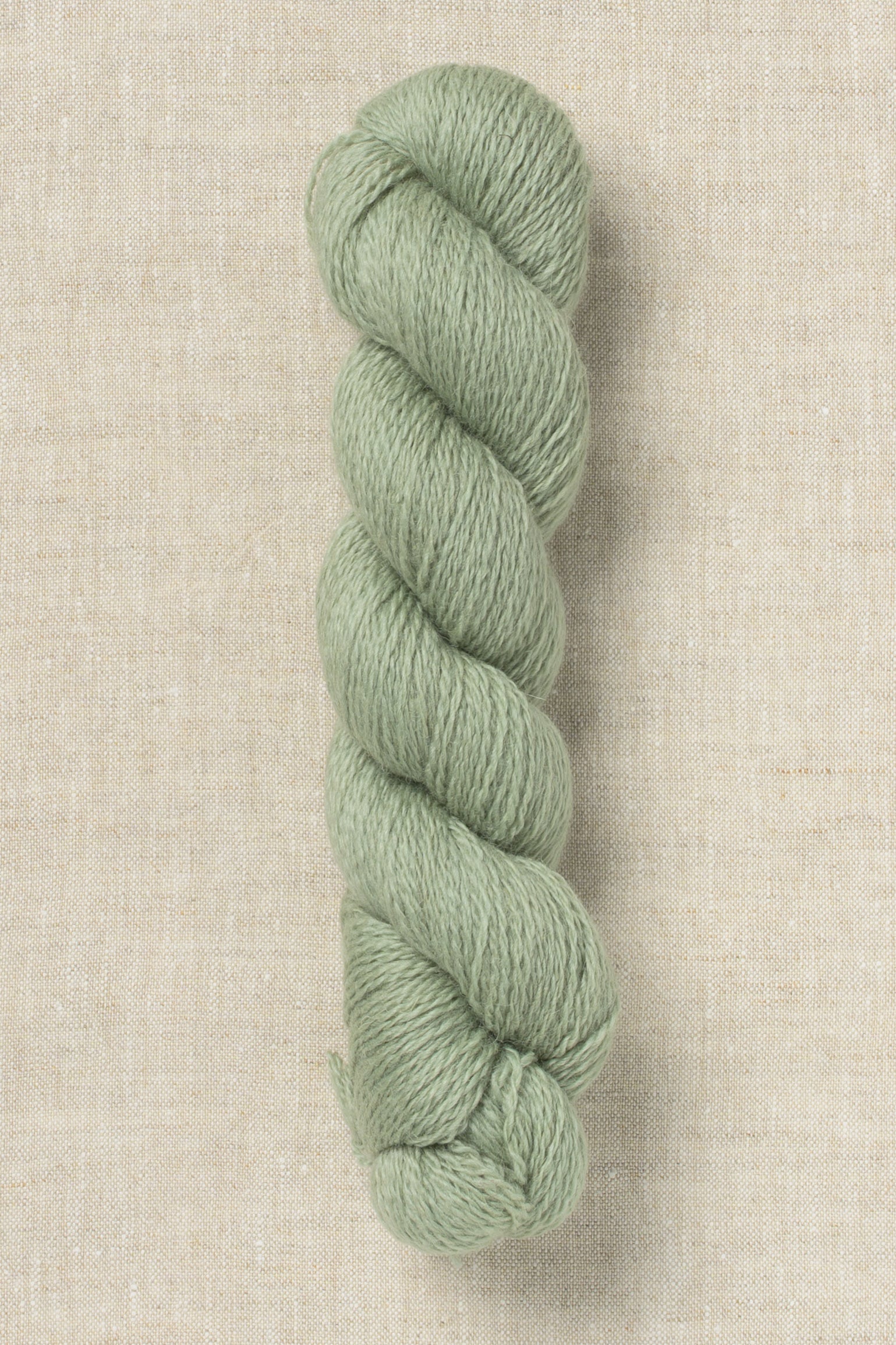 Bramble & Fleece Wooltrace 4ply 244 Celadine (Bag of 10)
